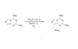 Eschemoser亞甲基化反應 Eschemoser亞甲基化反應