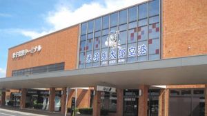 鳥取機場 鳥取機場