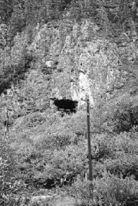 發現X女性的洞穴