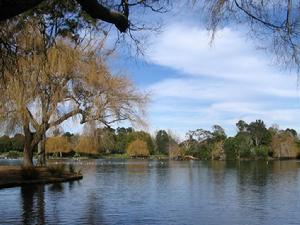 汪河水北村 汪河水北村
