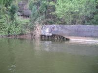 悅來佛海 悅來佛海