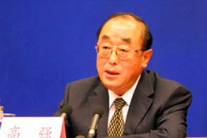 高強[中華人民共和國政府官員]