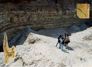 北票市鳥化石自然保護區 北票市鳥化石自然保護區