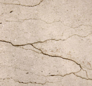 鴻祥米黃 | Lucky Beige |