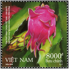 越南-新加坡聯合發行火龍果