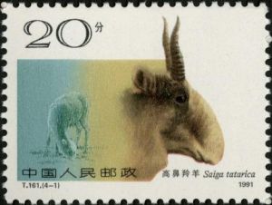 T161 《野羊》 T161 《野羊》