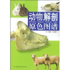 《動物解剖原色圖譜》 《動物解剖原色圖譜》