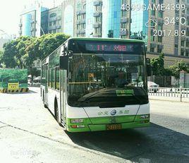 廈門公交11路 廈門公交11路