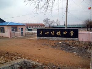 牛心頂中學 牛心頂中學