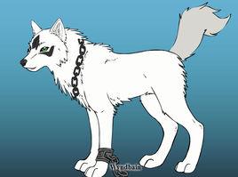 永遠的香巴拉[烏蘭托婭的歌曲]