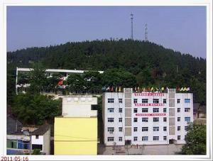 鹽亭縣麻秧鄉初級中學 鹽亭縣麻秧鄉初級中學