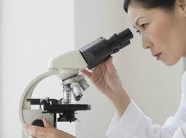 測土配肥 測土配肥