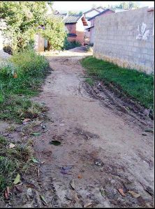 袁虎莊村 袁虎莊村