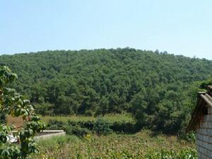 團團河村生態林<a name="ref_[3]"></a>