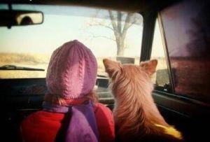 小奶狗男友 小奶狗男友