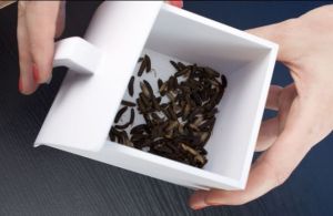 食蠅飼養機 食蠅飼養機