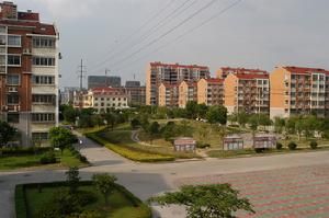 民豐社區 民豐社區