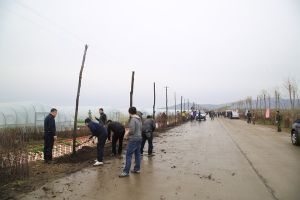 西風嘴子林場 西風嘴子林場