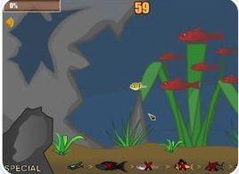 海底小魚 海底小魚