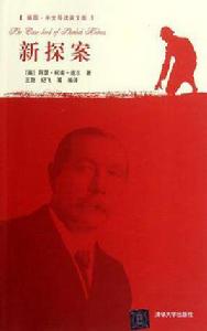 新探案[中國言實出版社出版書籍]