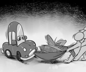 呼籲立即叫停國內的玉米制乙醇