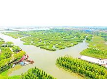 大縱湖蘆葦迷宮高清組圖1