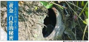 雜草叢中藏著一個陶瓮