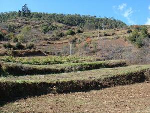 拉滿里村 拉滿里村
