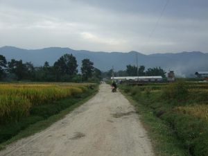 芒桂自然村 芒桂自然村