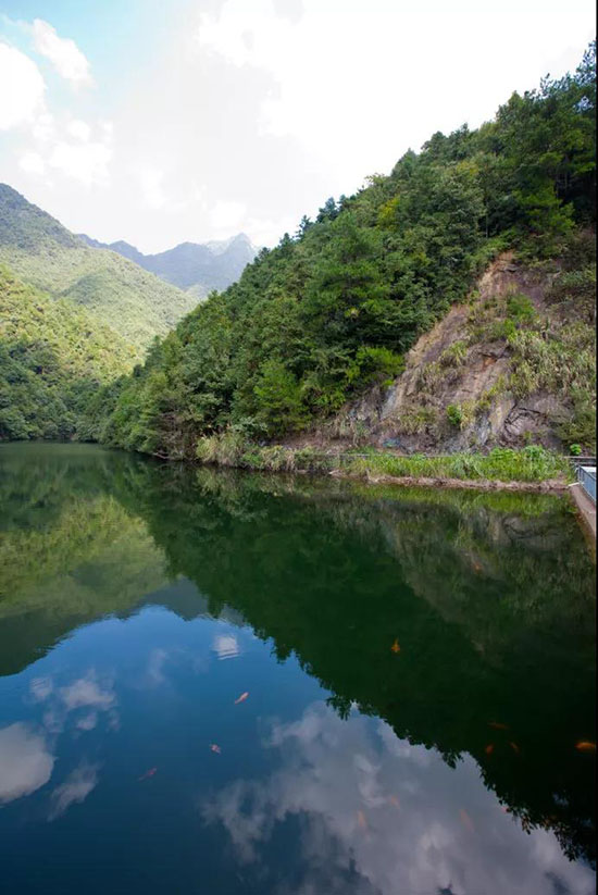 這個浙江偏僻的小縣城,一到夏天就美成仙兒,可惜知道的人太少了!