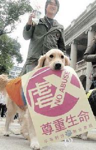 虐待動物罪 虐待動物罪