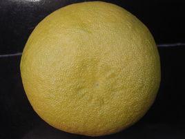 菊花芯柚 菊花芯柚