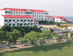 金海別墅 金海別墅