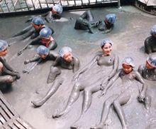 湯湖熱礦泥山莊