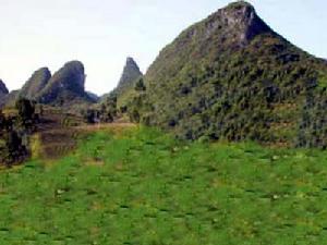 五鳳山[山東淄博市博山區五鳳山]