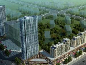 青楓國際 青楓國際