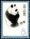 特59熊貓