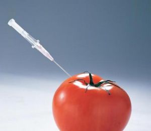 注水蔬菜 注水蔬菜