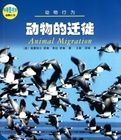 《動物的遷徙》 《動物的遷徙》
