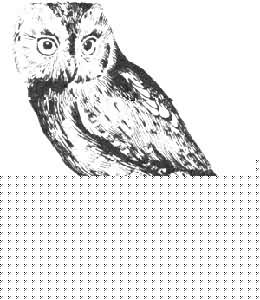 《愛也好,恨也好》