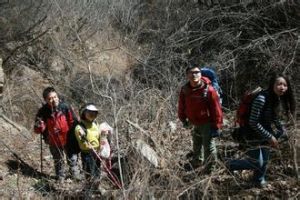 羊虎溝組 羊虎溝組