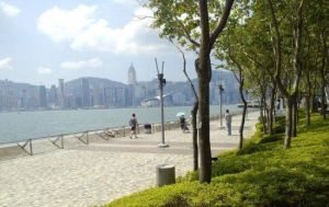 尖沙咀海濱公園 尖沙咀海濱公園