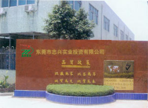 東莞市忠興投資實業有限公司 東莞市忠興投資實業有限公司