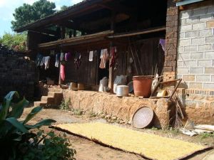 雲南省臨滄市永德縣永康鎮勐廣自然村