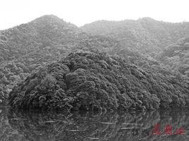 信豐縣金盆山自然保護區 信豐縣金盆山自然保護區