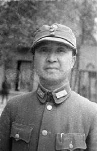 莫樹傑[民革廣西區委副主委]