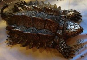 寡行步甲 寡行步甲