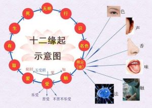十二緣起 十二緣起