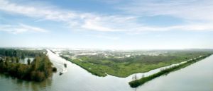 洪澤湖濕地森林公園 洪澤湖濕地森林公園