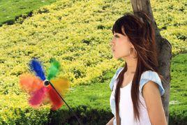 微涼的風[陳綺貞演唱歌曲]